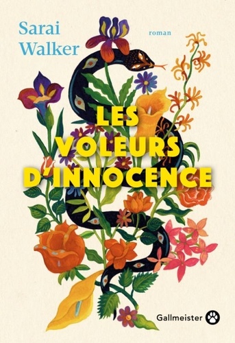 voleurs dinnocence